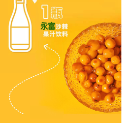 永富 沙棘汁300ml*6瓶t