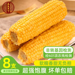玉美天下 新鲜采摘真空黄玉米新鲜香粘玉米粗粮拉丝玉米棒杂粮230g*8支