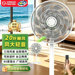 扬子空调 扬子（YAIR）电风扇/平面扇/落地扇/家用立式摇头20叶电扇 轻音  遥控款 20叶大风量