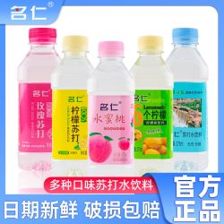 名仁堂 名仁苏打水饮料375ml瓶原味柠檬蜜桃芒果薄荷苏打水