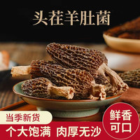 羊肚菌干货 小罐装20g易保存 食用菌新货羊肚菌煲汤食材 干货