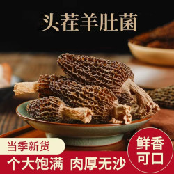 羊肚菌干货 小罐装20g易保存 食用菌新货羊肚菌煲汤食材 干货