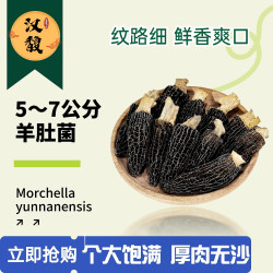 hanfu/汉馥精选500G5-7公分云南羊肚菌食用饱满肉质精品营养肉质
