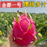 金都一号红心火龙果新鲜采摘4.5斤装