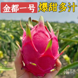 金都一号红心火龙果新鲜采摘4.5斤装