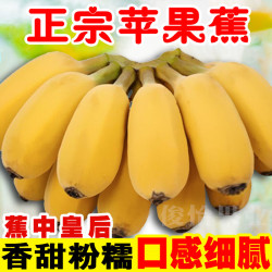 俊怡 广西苹果蕉粉蕉10斤当季新鲜水果直播卖苹果香蕉芭蕉批发整箱5斤