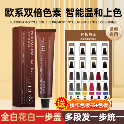 PR盖白发染发膏批发微潮色流行色专业供应发廊美发店理发店染发剂