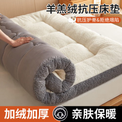 靓萱 加厚保暖羊羔绒床垫软垫床褥子家用榻榻米铺底床护垫学生单人垫被