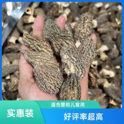 棕林寨/袋实惠装羊肚菌中个