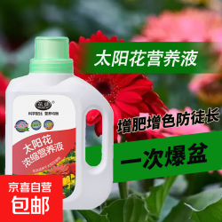 京喜 太阳花肥料太阳花专用肥营养液花肥催花开延长花期盆栽向日葵通用 太阳花专用营养液*1瓶