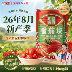 笑厨 新疆有机番茄块丁 0添加剂 400g*2罐 调味酱