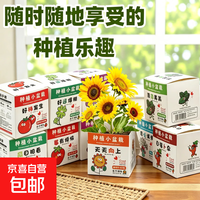 京喜 趣味种植盲盒盆栽桌面迷你好养绿植观察生长奖励礼物随机发货 随机发1盒