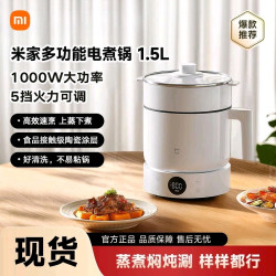 米家电煮锅