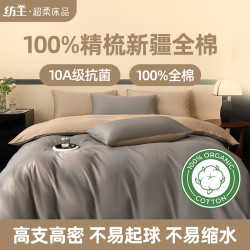 纺王 10A级抗菌100%新疆棉纯棉四件套10A级抗菌新疆棉 雾棕灰屿 床单款 （被套200*230cm）