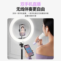 得胜 U8 麦克风声卡二合一 手机K歌直播 黑色