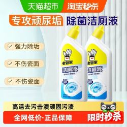 老管家 洁厕灵瓶罗兰香500g*2瓶