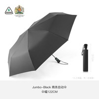 FULTON 英国进口双层雨伞男加大加固全自动折叠伞抗风伞双人