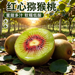 泰汇吃 四川红心猕猴桃甜奇异果 严选中果20个