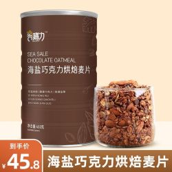 谷嘉力 海盐可可烘焙燕麦片 榛子巧克力坚果隔夜燕麦 450g