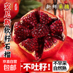 2026会理突尼斯软籽石榴不吐籽新采摘产地水果当季四川石榴包邮 带箱5斤250-300g(中大果）