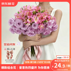 京东鲜花 玫瑰10枝+康乃馨10枝+六初花10枝 节日礼物