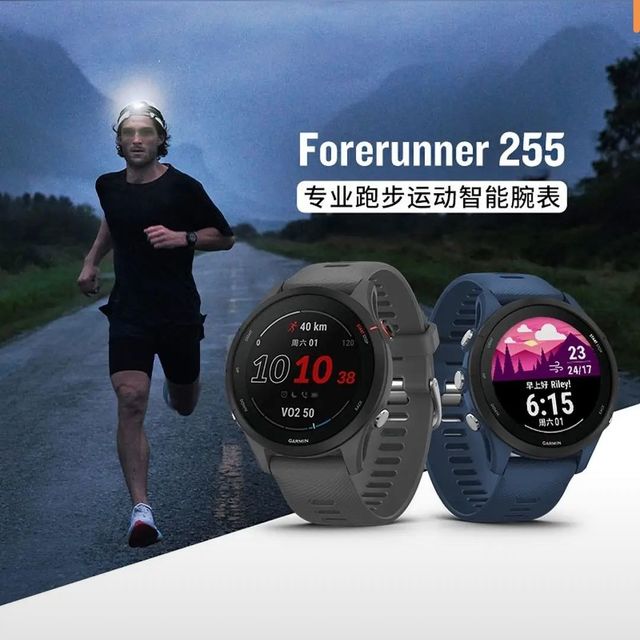 PLUS会员：佳明 Forerunner 255 运动智能心率表 神秘灰 45.6mm