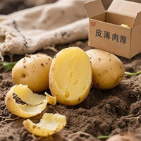黔婆婆 黄皮土豆 净重5斤