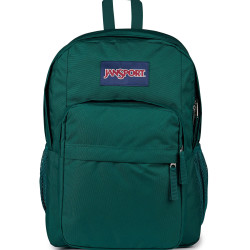 JanSport 中性款 Big Day 背包, 深杜松。