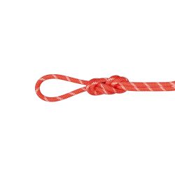 Mammut 猛犸象 8.0 高山经典绳子 50 米