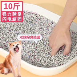 熊熊良铺 狗厕所小中大型犬定点上厕所宠物幼犬专用狗砂尿盆防踩屎排便