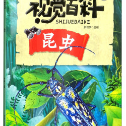 《我的第一套视觉百科·昆虫》