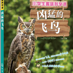 凶猛的飞鸟