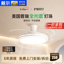 戴尔 隐形风扇灯普瑞护眼吸顶餐厅吊扇灯一体遥控卧室灯中山灯具包安装