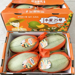 芳果铺 新货海南晓蜜哈密瓜4只礼盒装脆甜多汁新鲜水果当季好西州蜜