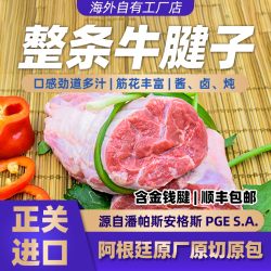 阿根园 阿根廷牛腱子含金钱腱安格斯牛肉酱卤前腱整条称重原切冷链冷冻