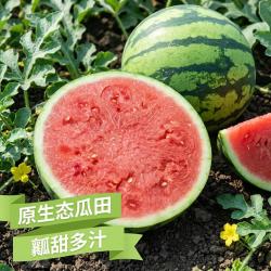 新鲜直达 陕甘宁沙地头茬无籽西瓜  京东送上门  8-10斤