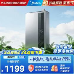 美的 绿洲LN7燃气热水器16升天然气增容水伺服一级能效格陵纹面板12级抗风2卫同洗 16L LN1