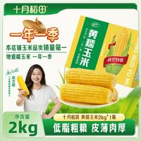 十月稻田 黄糯大棒2kg真空粗粮早餐零食东北黏玉米香