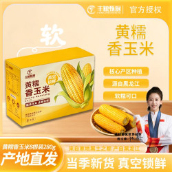 丰粮甄厨 当季东北黄糯玉米280g×8支金黄铝箔装黏糯真空锁鲜