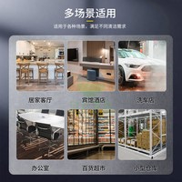 BAIYUN CLEANING 白云清洁 BF500 干湿两用大功率吸尘器