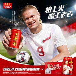 王老吉 世界杯王老吉凉茶植物饮料310ml*12罐*2箱联名罐