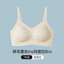 芬腾可安 蕾丝碎花甜美内衣女小胸聚拢提拉防下垂收副乳法式