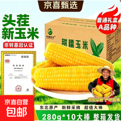 京东 开源保丰东北黄糯玉米真空包装粗粮大棒礼盒低脂新鲜苞米即食代餐 头茬黄糯玉米250g-280g*10支