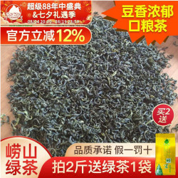 正宗崂山绿茶2026新茶浓香型500g袋装散装山东青岛特产礼盒口粮
