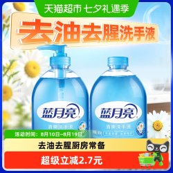 蓝月亮 野菊花清爽洗手液