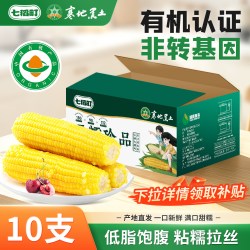 七稻町黄糯玉米东北甜糯玉米棒香甜玉米大棒真空包装代餐低脂10支