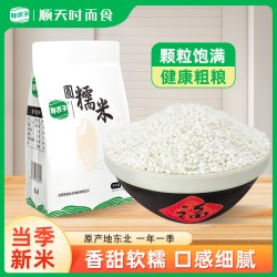 鲜农子 东北圆糯米2.5kg香糯白江米五谷杂粮包粽子酿酒醪糟农家糯米粗粮