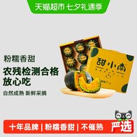 甜小南 贝贝南瓜南瓜礼盒2.3斤粉糯香甜板栗味