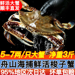 大海船说 舟山梭子蟹 活鲜海蟹 5-7两/只 3斤 
