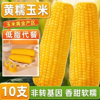 东北黄糯玉米非转基因粗粮代餐早餐新鲜糯玉米真空装一年一季香甜